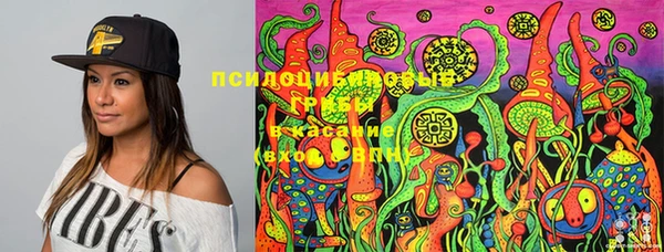 прущий лед Долгопрудный