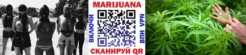 продажа наркотиков  Дедовск  Бошки Шишки MAZAR 